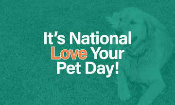 National Pet Day!