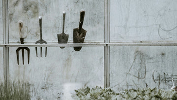The Best Plants to Start a Garden with During Spring - EasyShed