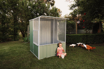 What to Look for When Buying a Bird Aviary - EasyShed