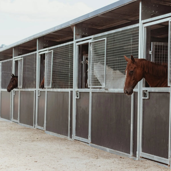 Horse Shelters and Covers