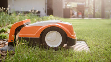 5 Quirky Garden Tools for your Shed - EasyShed