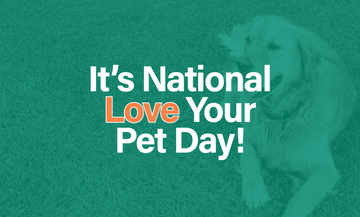 National Love Your Pet Day 2024