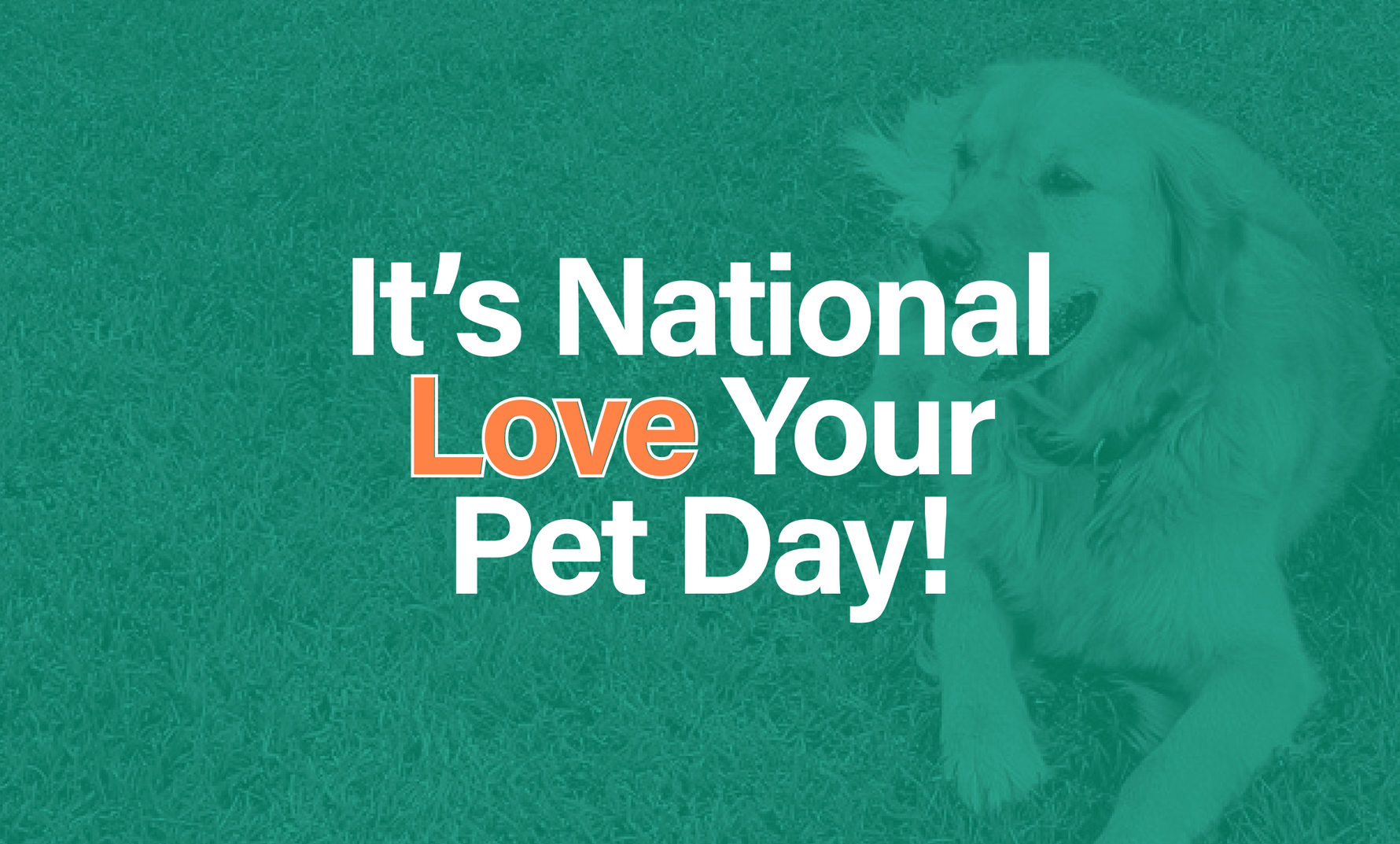 National Love Your Pet Day 2024 EasyShed