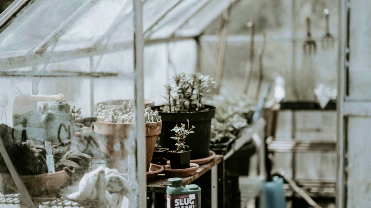 27 Things You Can Repurpose for Your Garden Shed - EasyShed