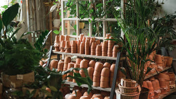 7 Creative Uses for Your Shed - EasyShed