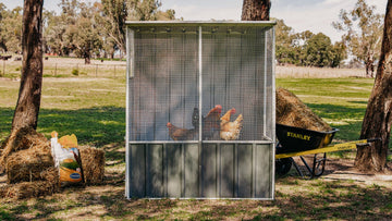 DIY Pet Houses & Aviaries for Rural Living - EasyShed