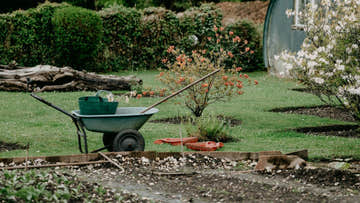 Natural Gardening Hacks for Beginners - EasyShed