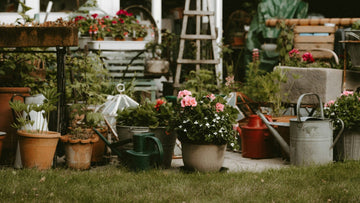 Spring Gardening Ideas to Make the Most of Your Garden - EasyShed