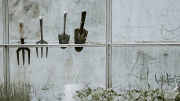 The Best Plants to Start a Garden with During Spring - EasyShed