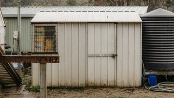 Tom's 40 Year Old Shed