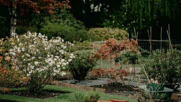 Creative Ways to Make Your Shed Blend In - EasyShed