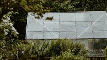 How To Convert Your Shed Into A Mushroom Farm? - EasyShed