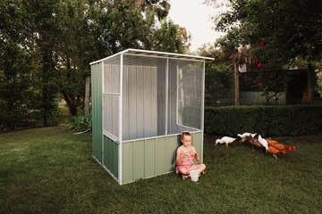 What to Look for When Buying a Bird Aviary - EasyShed