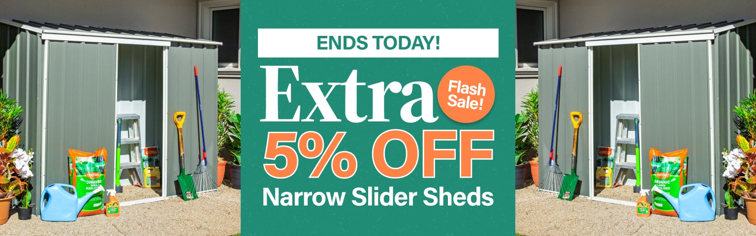 Collection Banner TAF 5 Narrow Flash Sale Ends Today