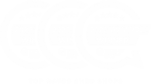 Review Award Badge