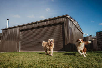 Sleek Single Garage Shed with Gable Roof