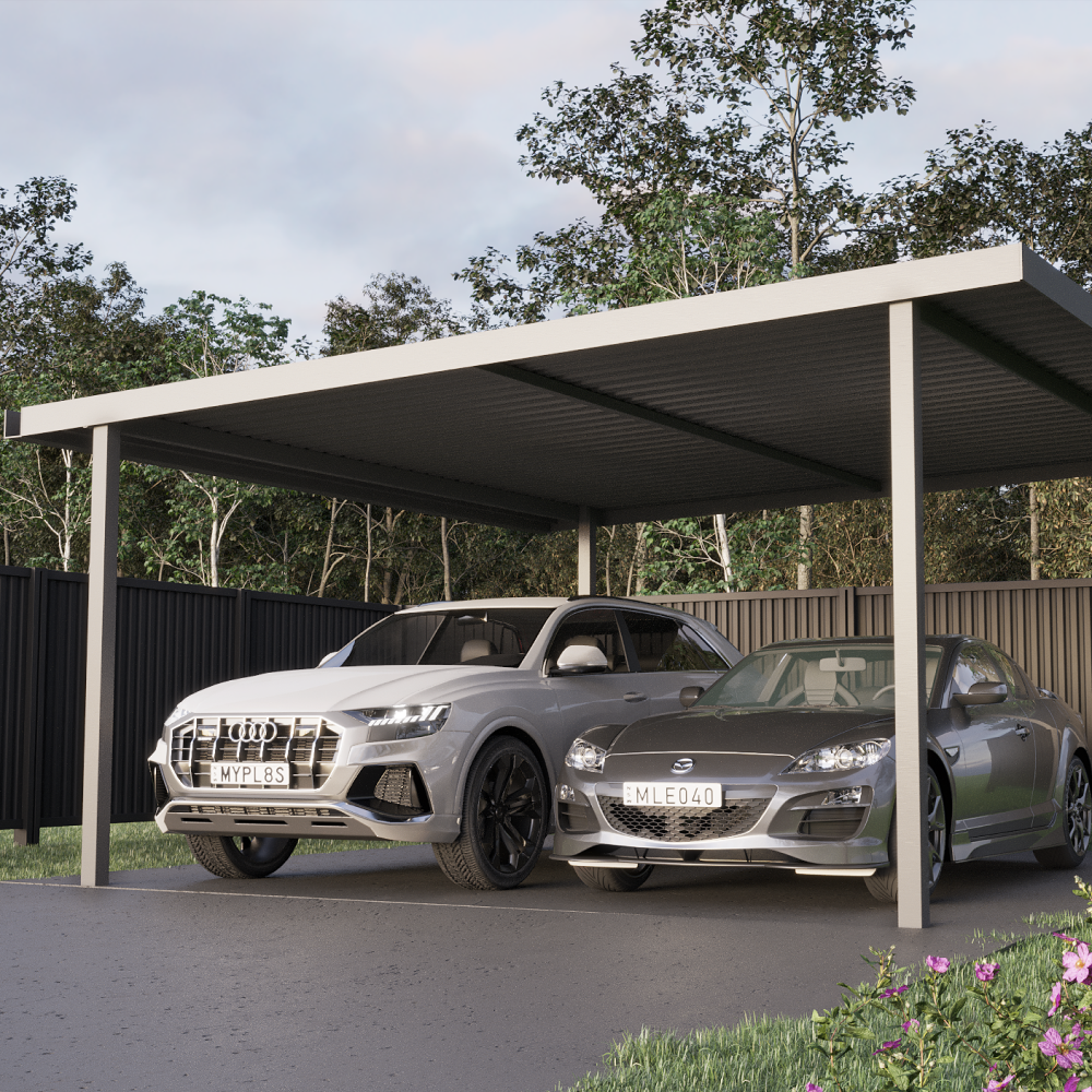 double carport with 2 cars 
