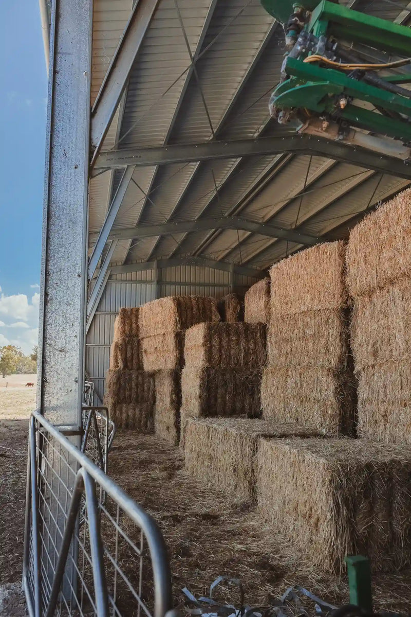 High Quality Hay Shed for Farmers