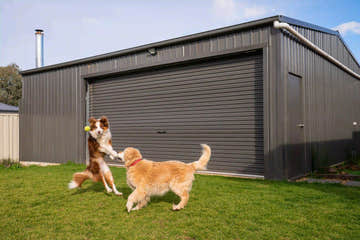Single Garage Shed with Motorised Roller Door and Personal Access Door