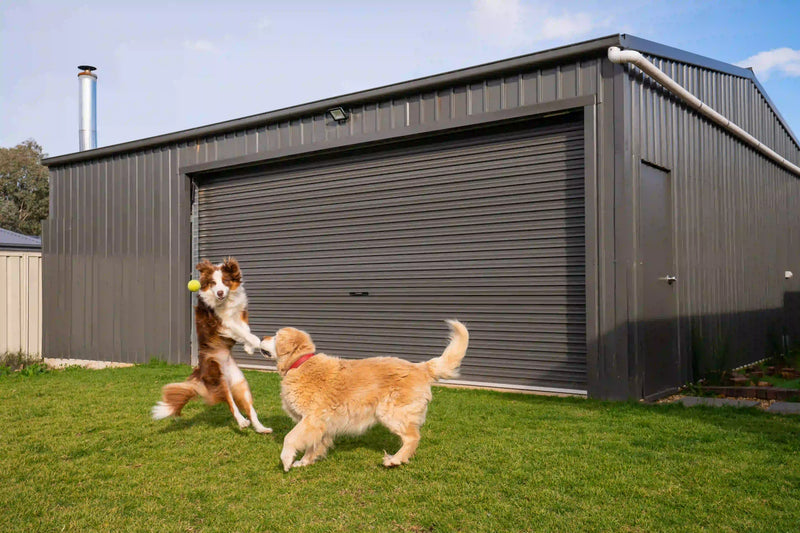 Single Garage Shed with Motorised Roller Door and Personal Access Door