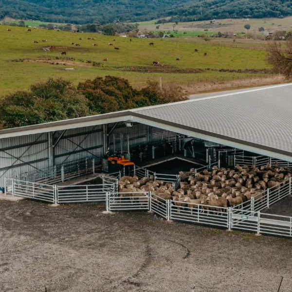Dairy Sheds